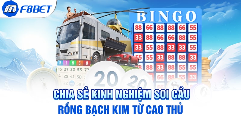Chia sẻ kinh nghiệm soi cầu rồng bạch kim từ cao thủ